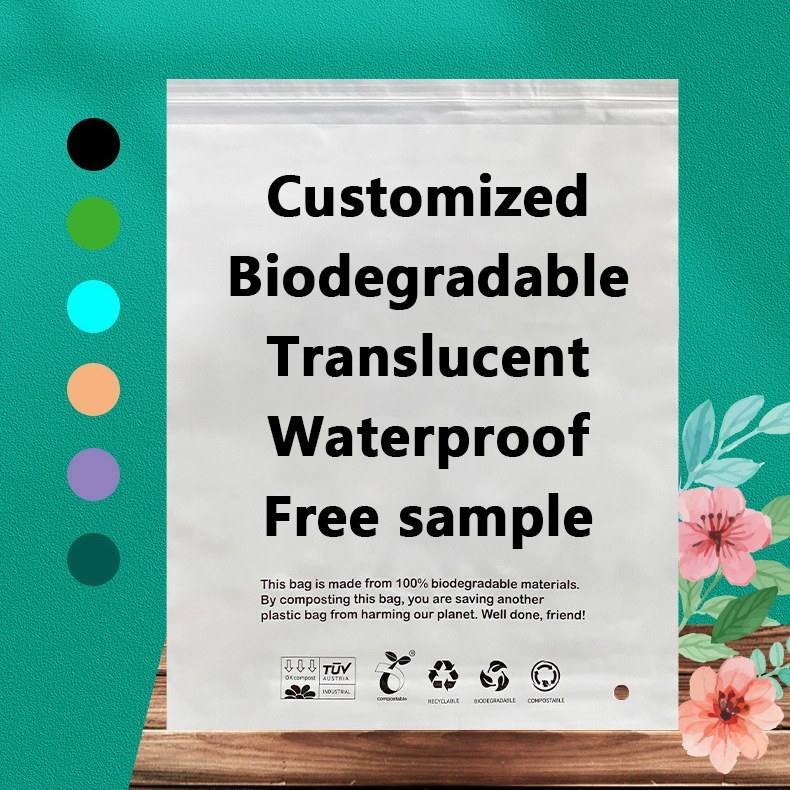 Zeal X uvádza na trh vysokovýkonné biologicky odbúrateľné vrecká PLA PBAT pre trvalo udržateľné obalové riešenia po celom svete